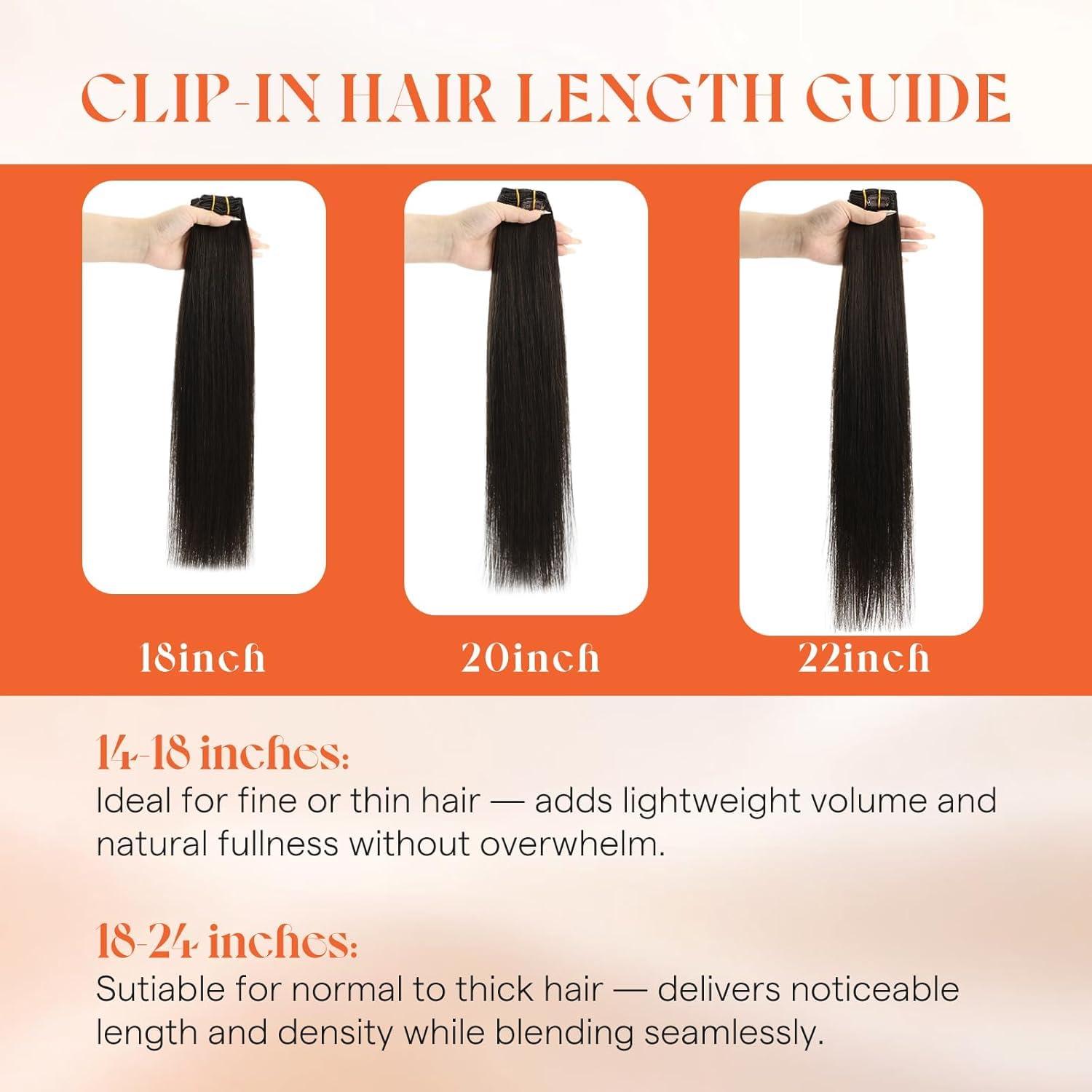 imageSunny Hair Clip in Hair Extensions Real Human Hair 120g Remy Hair Clip in Extensions for Women Human Hair Extensions Black Ombre Brown Balayage Caramel Blonde 24 InchA4 Ombre1BSilverBlack Roots to Silver