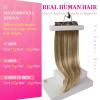Ve Sunny Human Hair Clip in Extensions Double Weft Ginger Copper Clip on Hair Extensions for Women Short Hair Extensions Real Human Hair 7pcs 14 Inch 105g(Clip-1 #6/60/6 Sunset Grove Chestnut Mix Platinum)