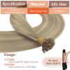 Sunny Hair K Tip Hair Extensions Blonde Highlight K Tip Hair Extensions Real Human Hair Ash Blonde Highlight Golden Blonde Fusion Hair Pre Bonded Fusion for Women 18in 50g