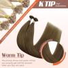 Sunny Hair K Tip Hair Extensions Human Hair Cool Brown Ktip Human Hair Extensions Invisible Pre Bonded Hair Extensions Human Hair for Women 14inch 50g