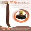 Sunny Hair U Tip Hair Extensions Human Hair Auburn Brown Keratin Auburn U Tip Keratin Hair Extensions 16inch U Tip Human Hair Extensions Dark Auburn 50g