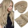 [2 Packs Bundle Total 14pcs] Sunny Hair Clip in Hair Extensions Golden Blonde Highlights 18inch 7pcs 120g Plus 7pcs Clip in Hair Extensions Brown Mix Caramel Blonde 120g 16inch Total 240g
