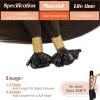 Sunny Hair Ktip Hair Extensions Human Hair Soft K Tip Extensions Chocolate Brown Hair Extensions Keratin Bonds for Travel 14inch 50g