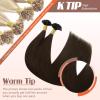 Sunny Hair Ktip Hair Extensions Human Hair Soft K Tip Extensions Chocolate Brown Hair Extensions Keratin Bonds for Travel 14inch 50g