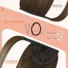 Bundle 2Packs Wire Hair Extensions 80g and Ponytail Hair Extensions #3822 14inch 80g