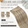 [Good Helper for Styling]Wire Hair Extensions and Human Hair Ponytail Blonde 160G 18inch