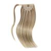Sunny Clip in Hair Extensions and Ve Sunny Ponytail Hair Extensions Blonde Highlights 20inch 200G