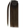 Sunny Clip in Hair Extensions and Ve Sunny Ponytail Hair Extensions Brown Ombre 200G