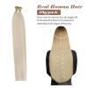 [Sunny and Ve Sunny] Itip Hair Extensions and Human Hair Ponytail Blonde 22inch 170G
