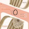 [Sunny and Ve Sunny] Wire Hair Extensions and Human Hair Ponytail Blonde Highlights 160G