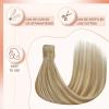 [Sunny and Ve Sunny] Wire Hair Extensions and Human Hair Ponytail Blonde Highlights 160G