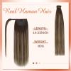 [Sunny and Ve Sunny] Wire Hair Extensions and Human Hair Ponytail Brown Balayage 160G