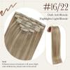 [Two Styles] Sunny Clip in Hair Extensions and Ve Sunny Ponytail Hair Extensions Blonde Highlights 200G