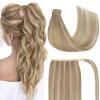 Sunny Clip in Hair Extensions and Ve Sunny Ponytail Hair Extensions Blonde Highlights 20inch 200G