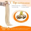 Sunny Hair U Tip Hair Extensions Human Hair 22inch K TiP Hair Extensions Ash Blonde with Blonde Highlights Invisible Remy Hair 50g