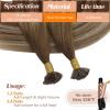 Sunny Hair 14 Inch K Tip Real Human Hair Extensions, Chestnut Brown with Blonde, Keratin Vtips, Designed for Wedding Wear, Evening Parties, and Formal Occasions, Adds Natural Fullness, 50g