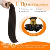 Sunny Hair 16 Inch U Tip Human Hair Extensions, Dark Brown, Soft Keratin Tips, for Travel-Friendly Use, Provides Natural Look for Night Out Gatherings and Formal Dinners, 50g