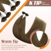 Sunny Hair 24 Inch K Tip Real Human Hair Extensions, Cool Brown, Keratin Tips, Designed for Formal Events and Night Out Occasions, Provides Natural Length and Fullness, 50g
