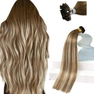 Sunny Hair 14 Inch U Tip Hair Extensions, Balayage Chestnut Brown with Blonde Ombre, Soft Keratin Tips, Invisible Bonds, Adds Dimension for Brunch Parties and Casual Social Events, 50g