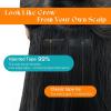 Sunny Hair Invisible Injected Tape in Hair Extensions Human Hair, Darkest Brown 50g 16inch 20Pcs, Invis Edge Tape, Seamless Straight Hair Extensions for a Fuller Look