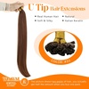 Sunny Hair 14 Inch Seamless K Tip Human Hair Extensions, Auburn Brown, Auburn U Tip, Soft Texture, Medium Manogany Brown, Natural Color Blend, for Women with Red Undertones, 50g