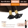 Sunny Hair 18 Inch K Tip Remy Human Hair Extensions, Chocolate Brown, Fusion Keratin Vtip Bonds for Simple Installation, Provides Natural Volume for Parties and Special Events, 50g