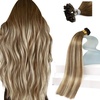Sunny Hair 20 Inch Soft U Tip Human Hair Extensions, Chestnut Brown with Blonde Ombre, Keratin Bond, Easy to Maintain, Natural Blend, for Women with Color-Treated Hair, 50g