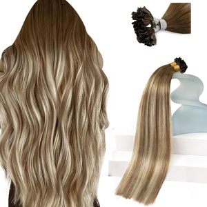 Sunny Hair 20 Inch Soft U Tip Human Hair Extensions, Chestnut Brown with Blonde Ombre, Keratin Bond, Easy to Maintain, Natural Blend, for Women with Color-Treated Hair, 50g